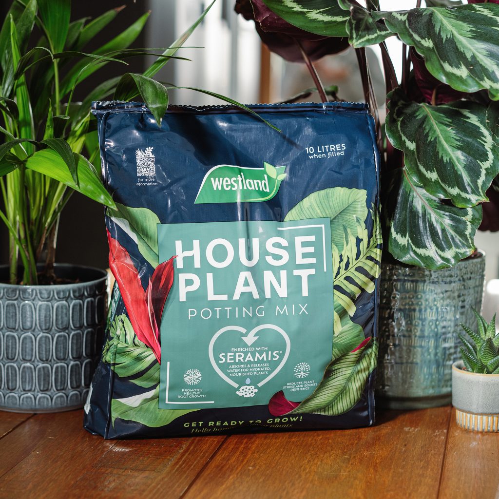 Westland Houseplant Potting Mix Houseplant Care Garden Health