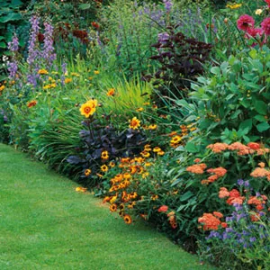 How to Create Beautiful Garden Borders - Advice - Garden Health