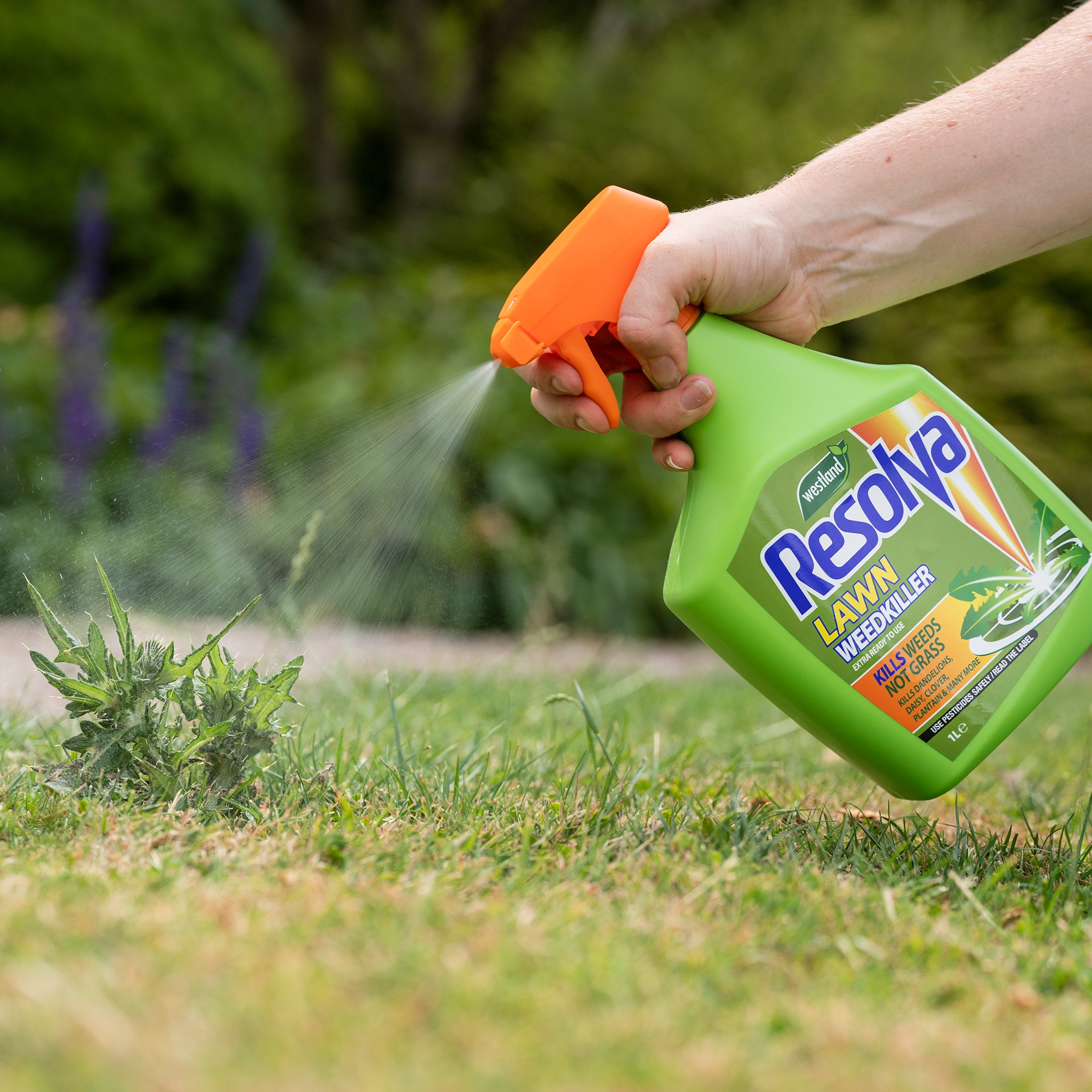 resolva lawn weedkiller in use