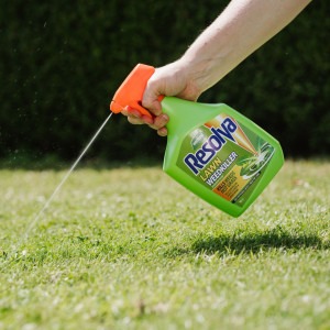 westland resolva lawn weedkiller