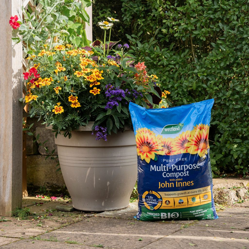 Multi-Purpose Compost with added John Innes | Westland Garden Health