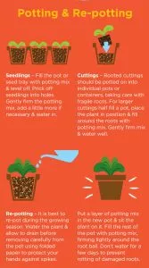 how to use cacti potting mix