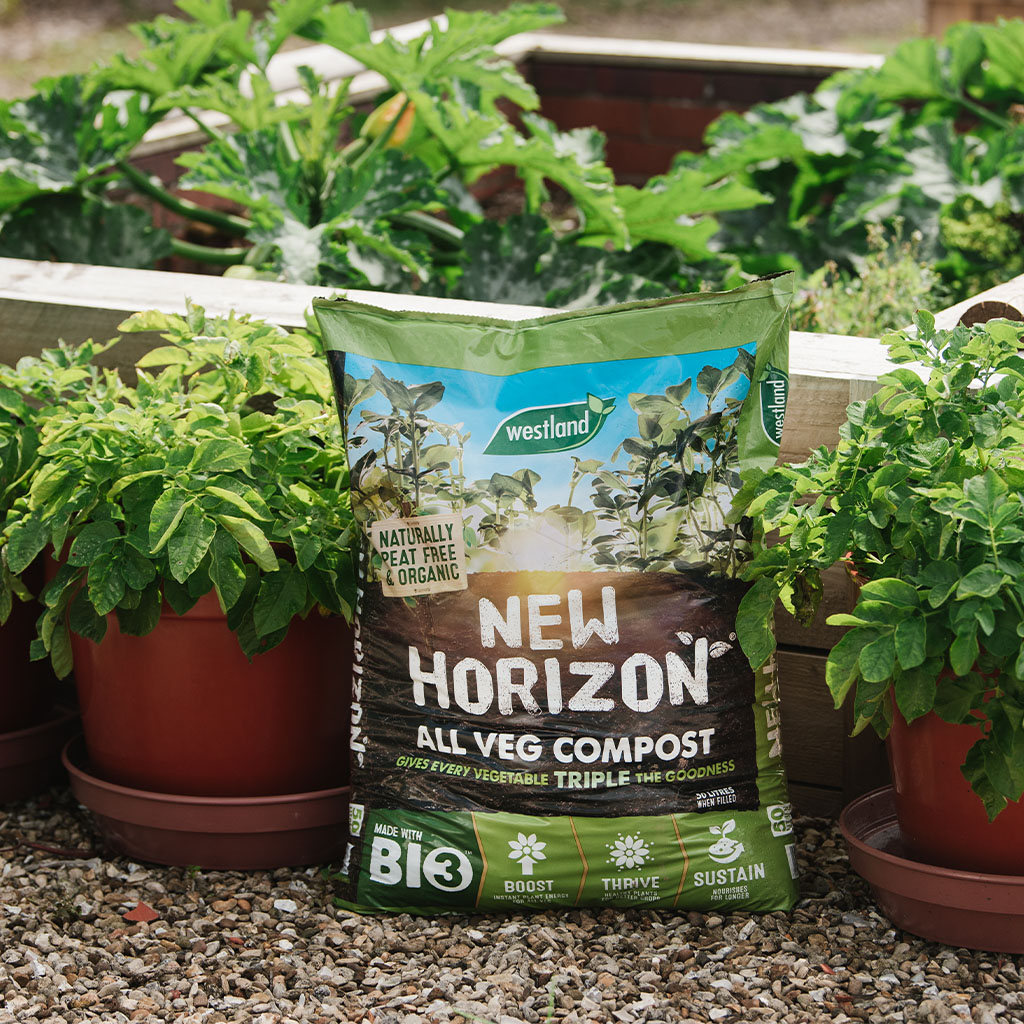 New Horizon All Vegetable Compost 