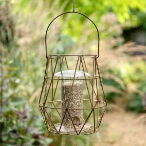 aura-bird-feeder