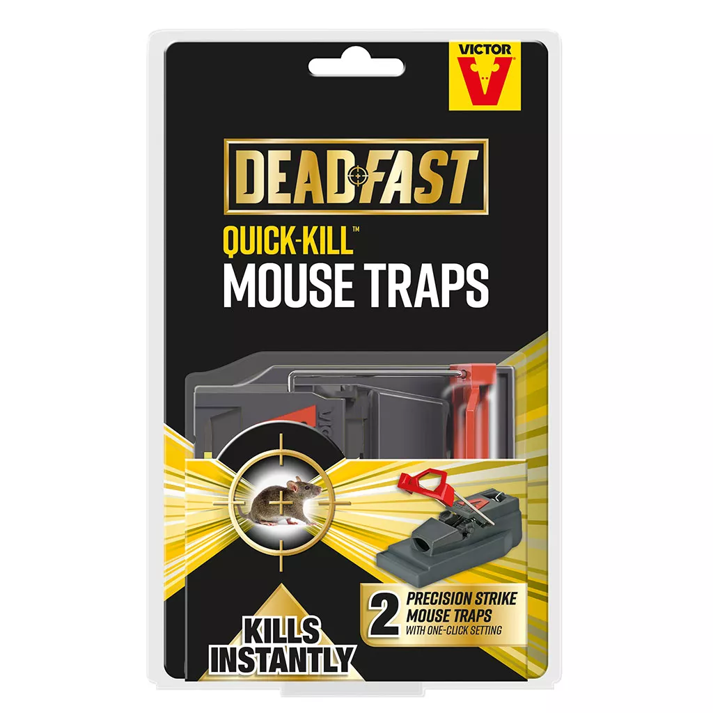 Deadfast Kill Vault Mouse Traps - Pests & Diseases - Westland