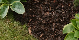 Choosing the Right Barks or Mulches