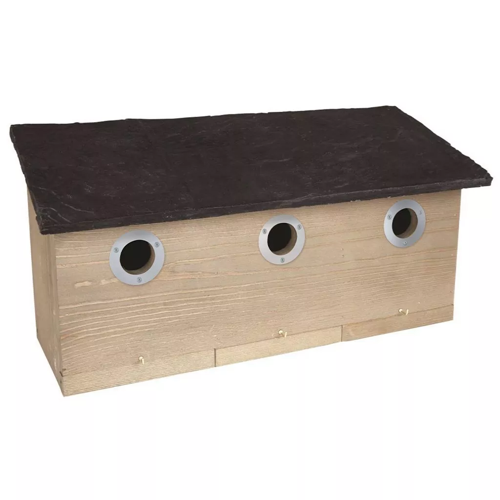 sparrow nest box