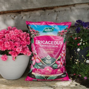 westland ericaceous planting & potting mix 50l