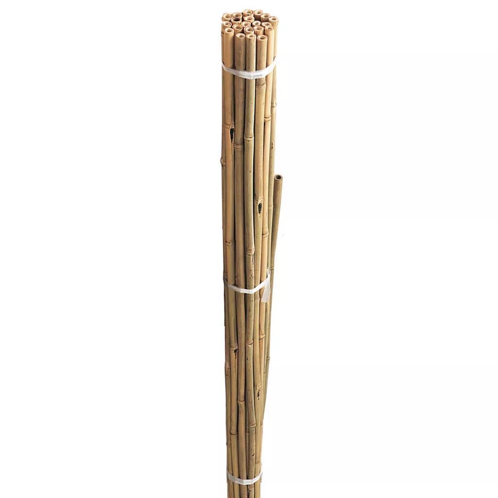 Natural Bamboo Garden Stakes / Canes Small Sizes - Grower's Solution