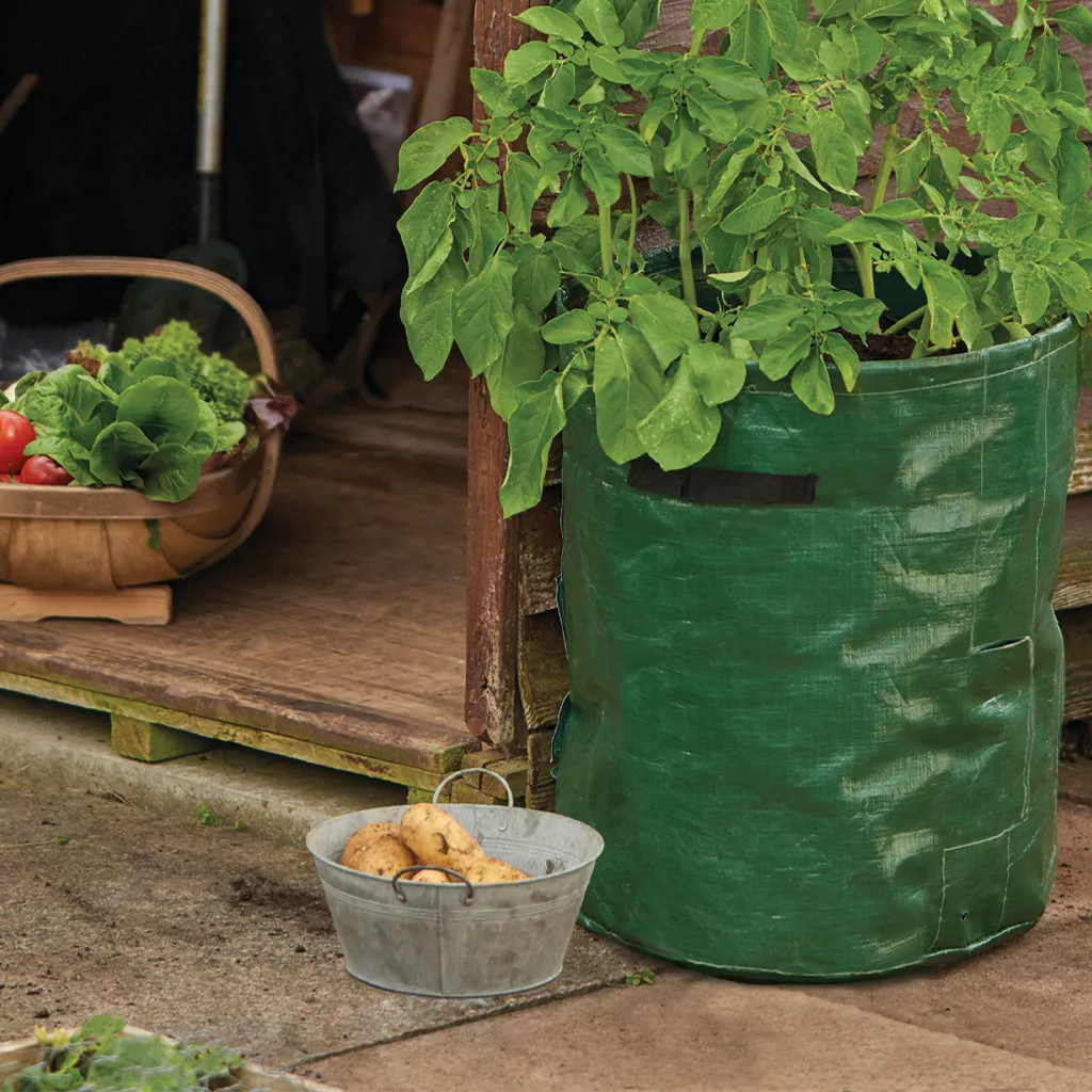Potato Planter Bags - Propagation Products - Garden Health