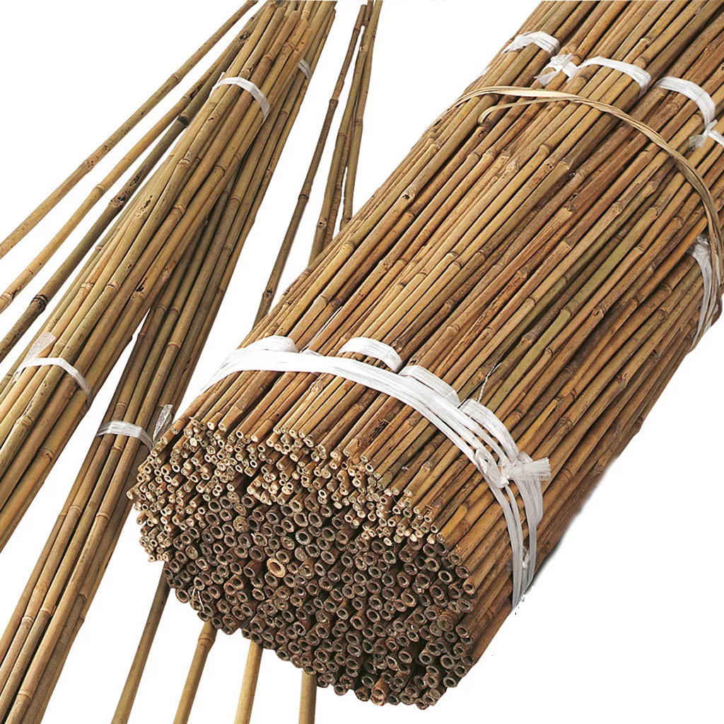 Bamboo Canes Plant Support - Plant Supports - Garden Health