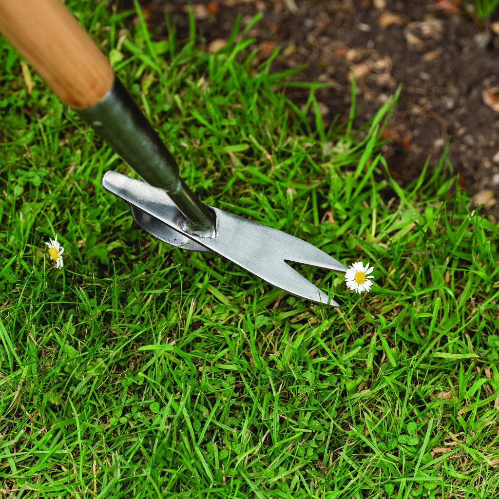 Top 15 Worst Garden Weeds - Weed Control - Westland Garden Health