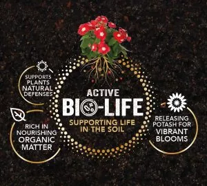 Active bio-life diagram