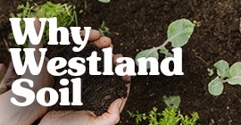 Why Westland Soil?