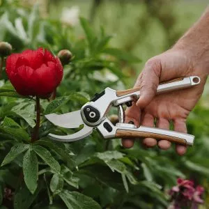 Eversharp™ Bypass Secateurs in use