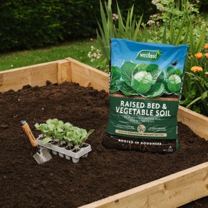 westland raised bed and veg soil in raised bed soil