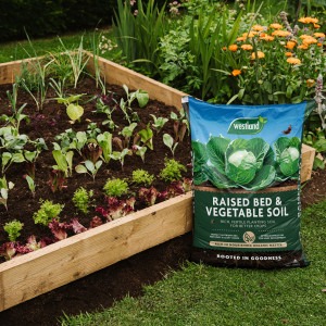 westland raised bed and veg soil in raised bed full of vegetables