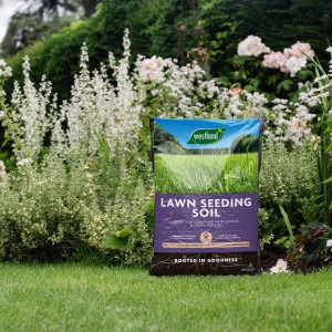 westland lawn seeding soil on lawn