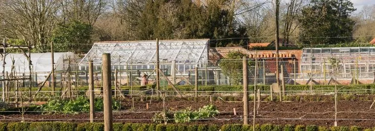 starting your allotment article