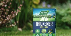 How to get a thicker lawn with Lawn Thickener