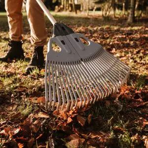 3 in 1 Leaf Rake - Kent & Stowe Garden Health