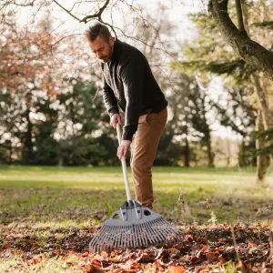 3 in 1 Leaf Rake - Kent & Stowe Garden Health