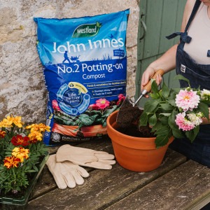 westland john innes peat free no2 potting on compost