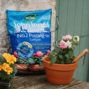 westland john innes peat free no2 potting on compost