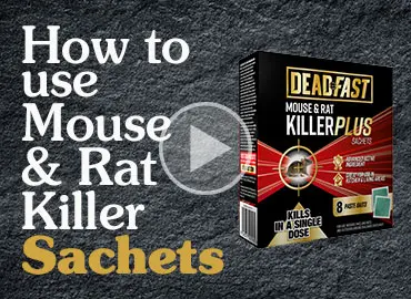 Deadfast Mouse & Rat Killer Plus Blocks Bait Station - Garden Health