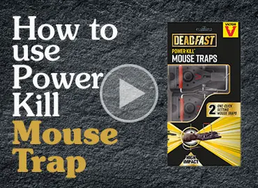 https://www.gardenhealth.com/wp-content/uploads/2023/09/How-to-use-power-kill-mouse-trap-370px-x-270px.jpg.webp