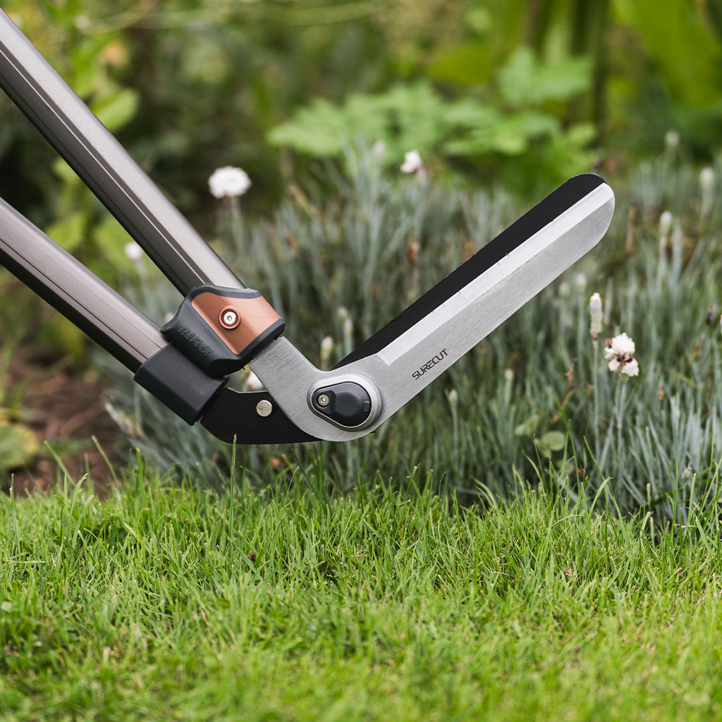 SureCut Adjustable Height Lawn Edging Shears Kent & Stowe Garden Health