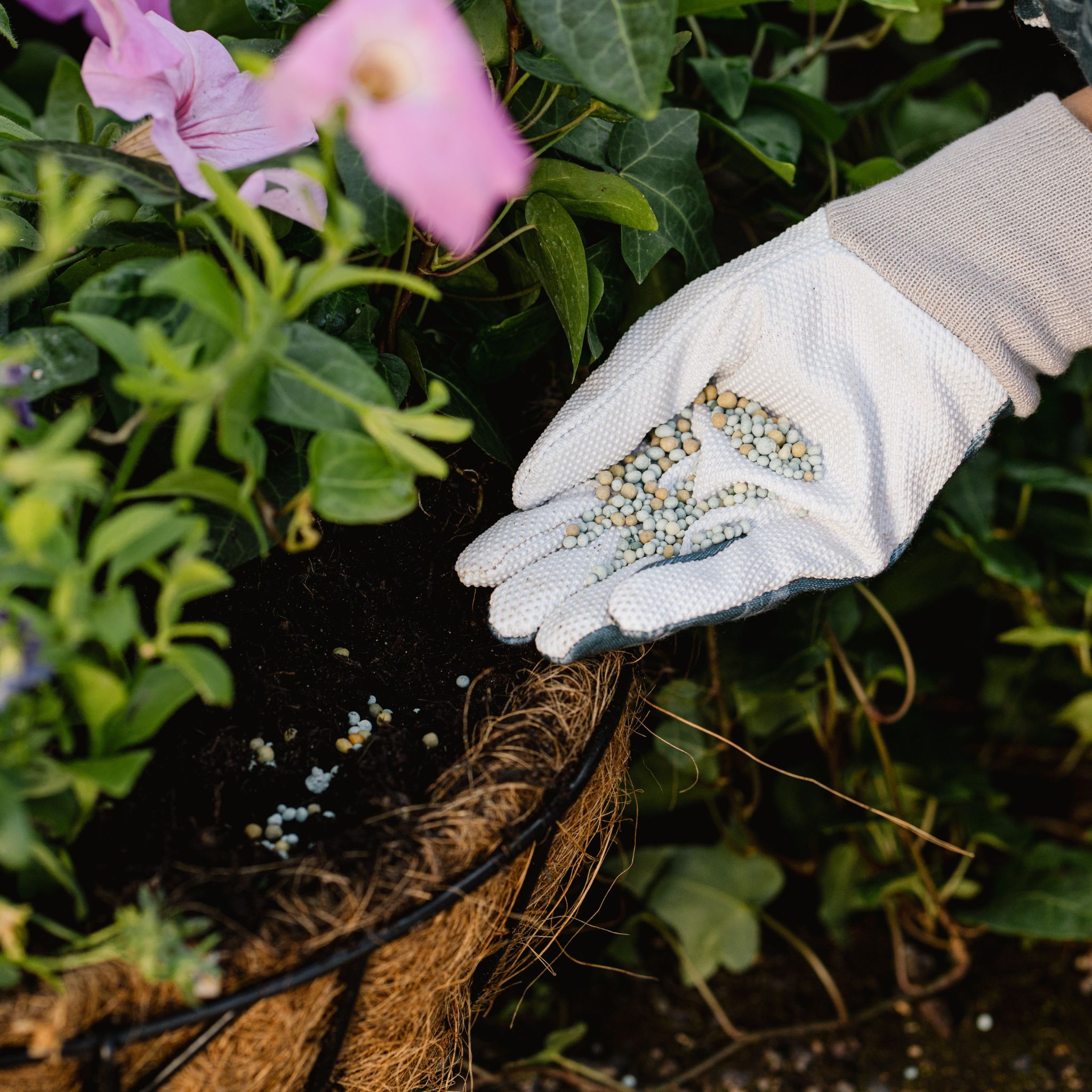 boost granules being placed in hanging basket