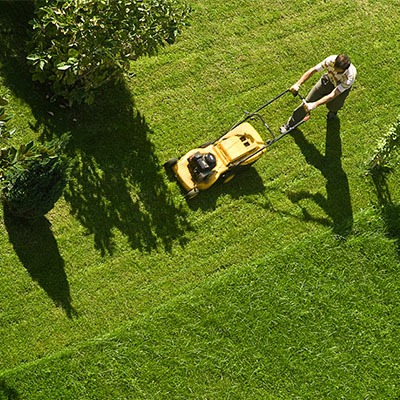 Lawn Care Seasonal Jobs