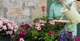 The Ultimate Guide to Caring for Pots, Baskets & Containers