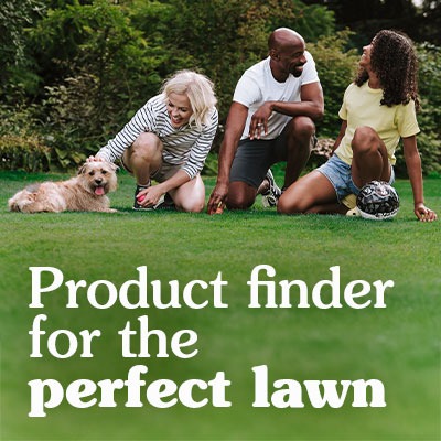 <h3><span style="color: #f9f9df;"><strong>Get Your Perfect Lawn</strong></span></h3>
