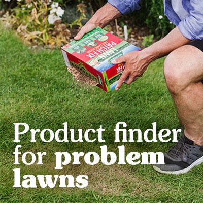 <h3><span style="color: #f9f9df;"><strong>Solve Your Lawn Problems</strong></span></h3>
