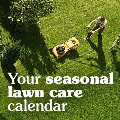 <h3><span style="color: #f9f9df;"><strong>Lawn Care Seasonal Jobs</strong></span></h3>
