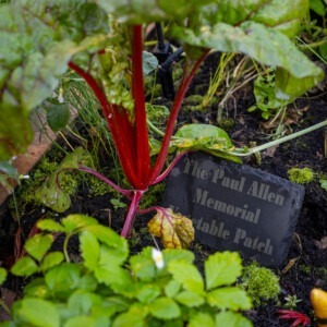 tom allen father memorial garden